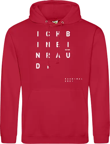 Der RAUDI
