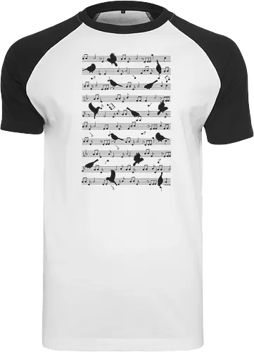 Birds on musical notes - black