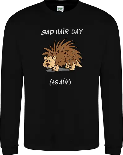 Caricatura Sommerakademie - Bad Hair Day