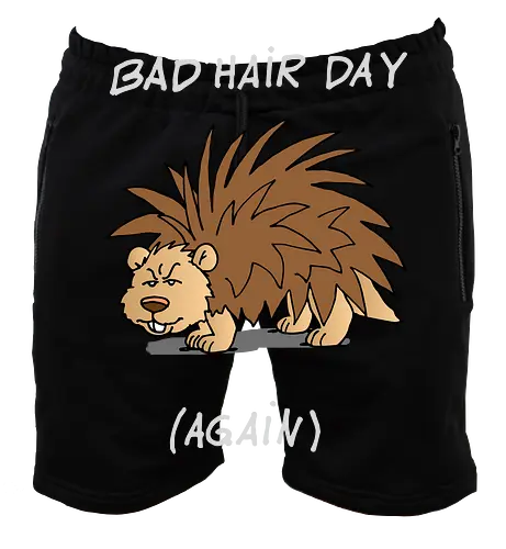 Caricatura Sommerakademie - Bad Hair Day