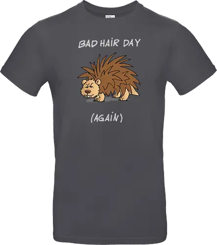 Caricatura Sommerakademie - Bad Hair Day