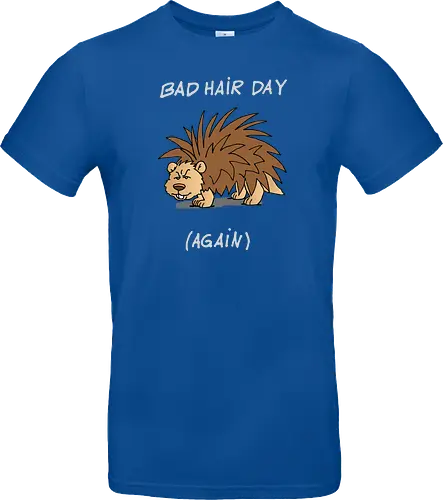 Caricatura Sommerakademie - Bad Hair Day