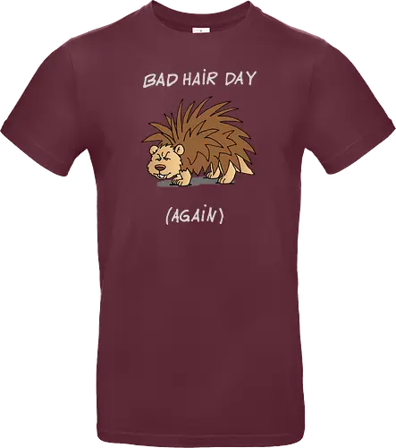Caricatura Sommerakademie - Bad Hair Day