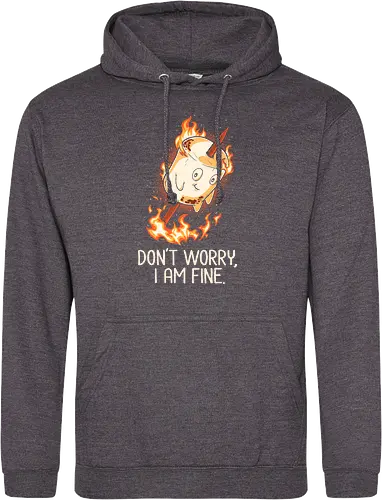 Don't Worry I Am Fine