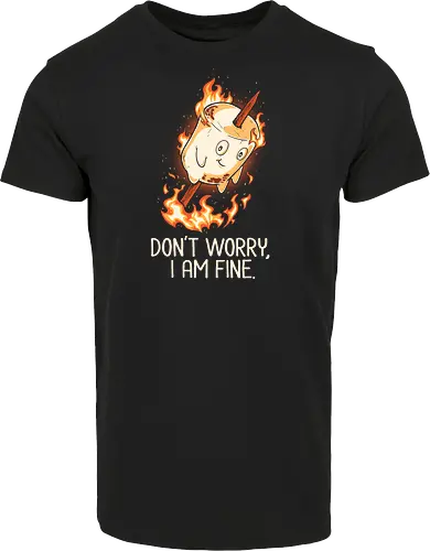 Don't Worry I Am Fine