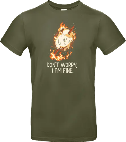 Don't Worry I Am Fine