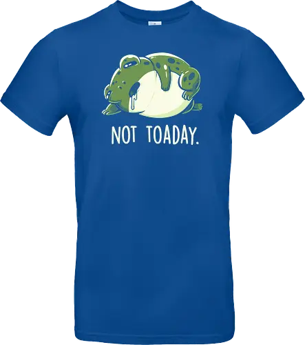 Not Toaday