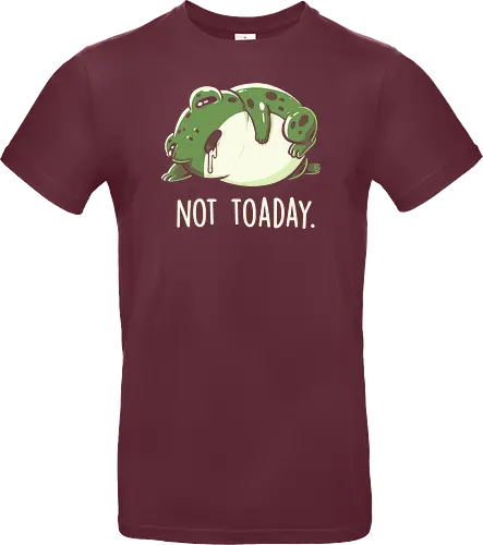 Not Toaday