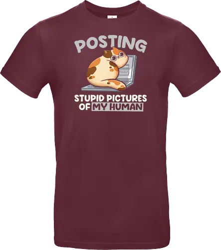 Posting Stupid Pictures of My Human