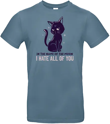In The Name Of The Moon - luna, grumpy - Standard T-Shirt