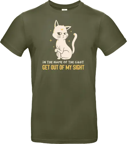 In The Name Of The Light