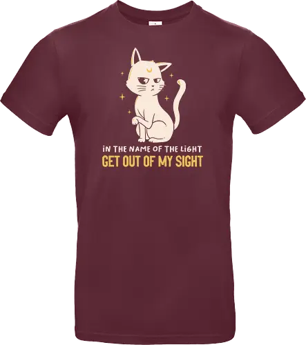 In The Name Of The Light