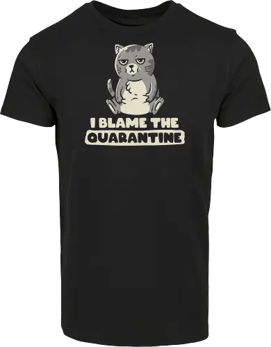 I Blame The Quarantine