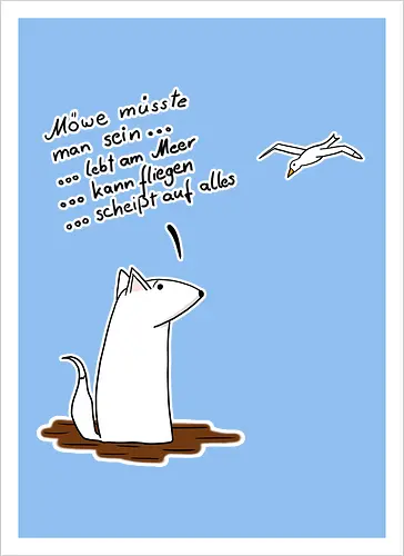 Möve müsste man sein