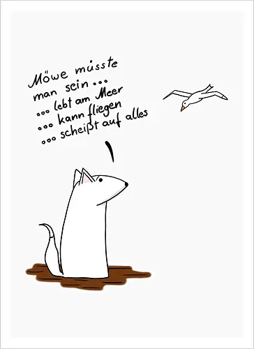 Möve müsste man sein