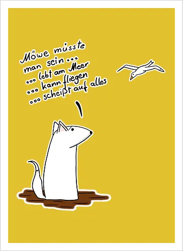 Möve müsste man sein