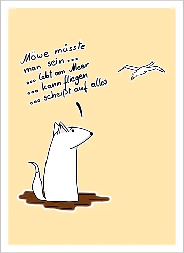 Möve müsste man sein