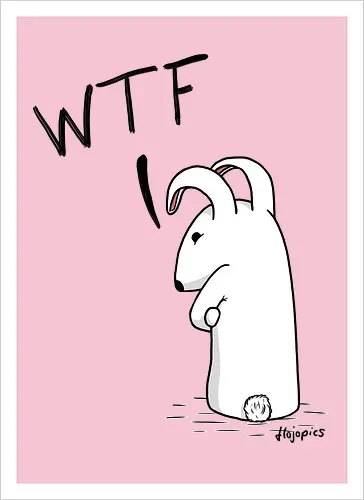 Grummelhase - WTF