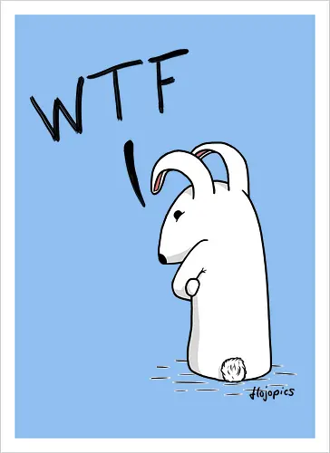 Grummelhase - WTF