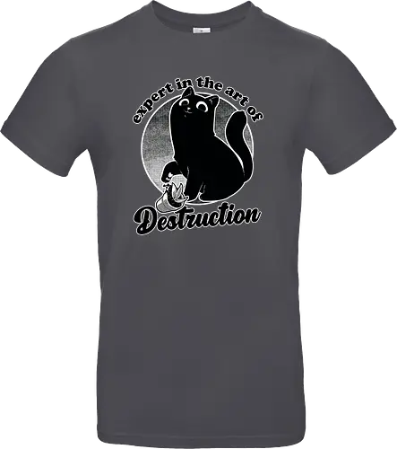 Expert in Destruction - Cute Black Cat