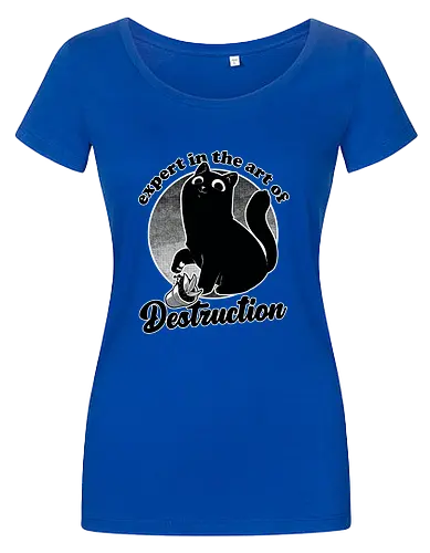 Expert in Destruction - Cute Black Cat