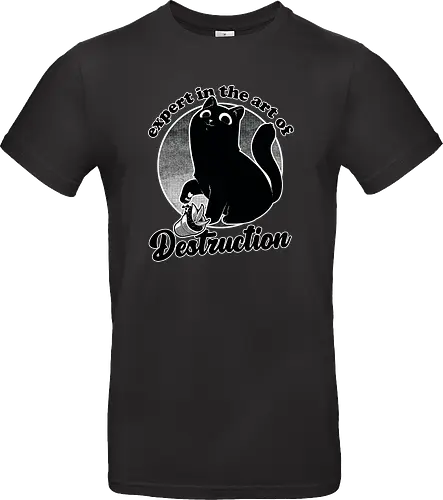 Expert in Destruction - Cute Black Cat