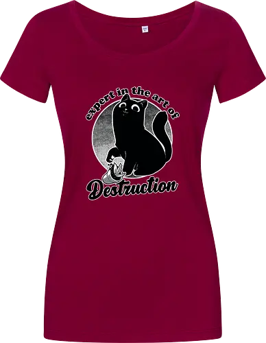 Expert in Destruction - Cute Black Cat