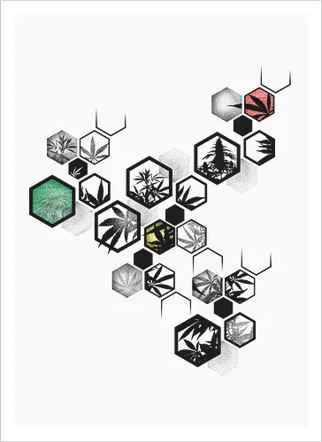Original Weed Hexagon