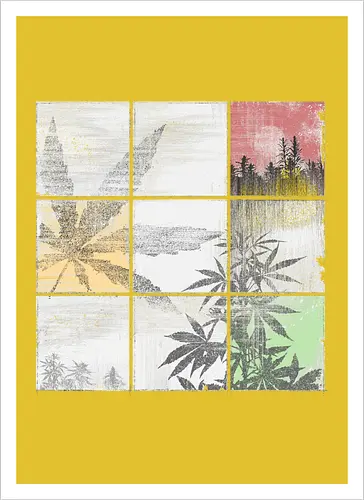 Weed Colors