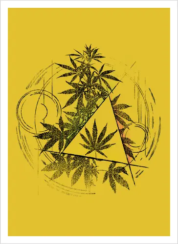 Witch Weed