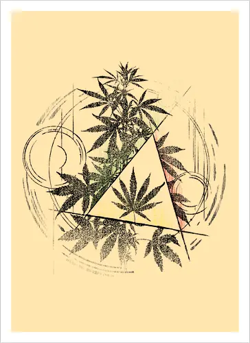 Witch Weed