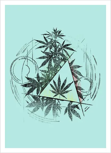 Witch Weed
