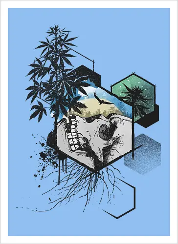 Weed Skull Hexagon