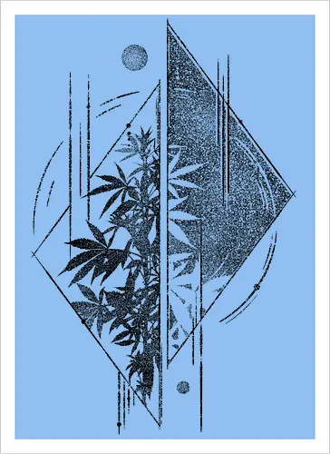 Weed Geometry