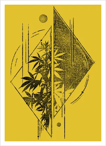 Weed Geometry