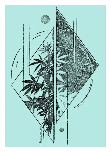 Weed Geometry