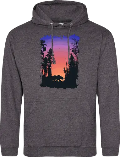 Bear and Bears