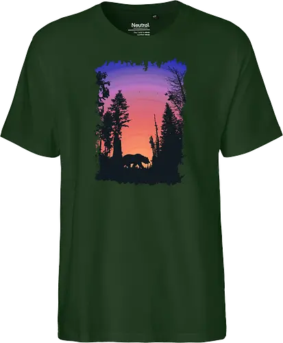 Bear and Bears