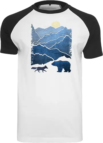 Bear and Bears