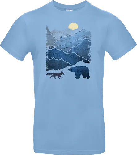 Bear and Bears