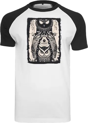 Owls and Owls
