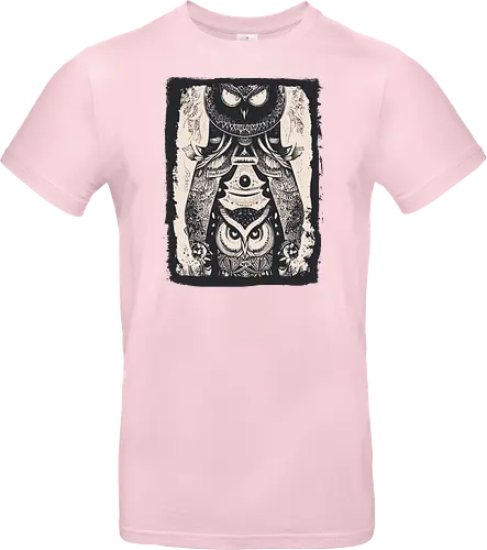 Owls and Owls