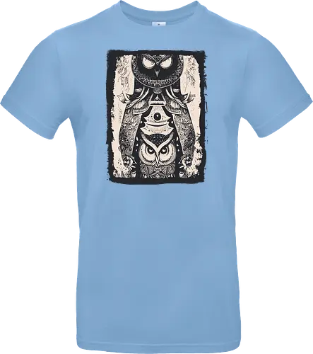Owls and Owls