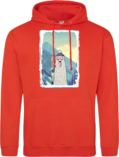 Bear with Snowboard