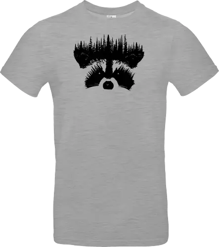 Raccoon Forest