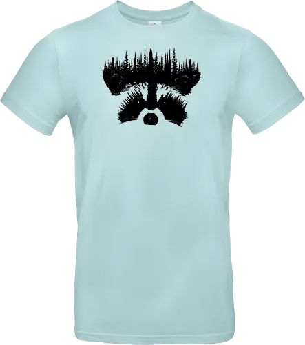 Raccoon Forest
