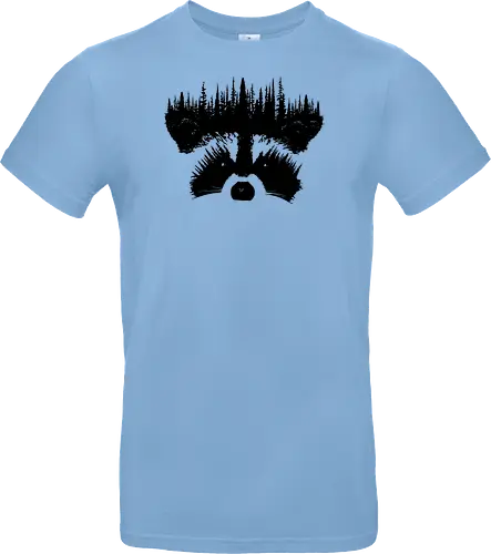 Raccoon Forest