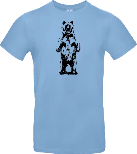 Bear In The Wild