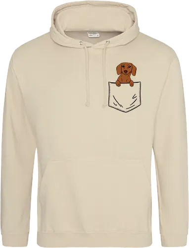 Dachshund in my pocket