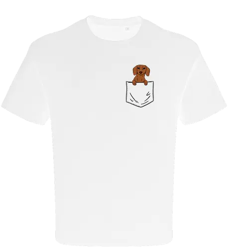 Dachshund in my pocket